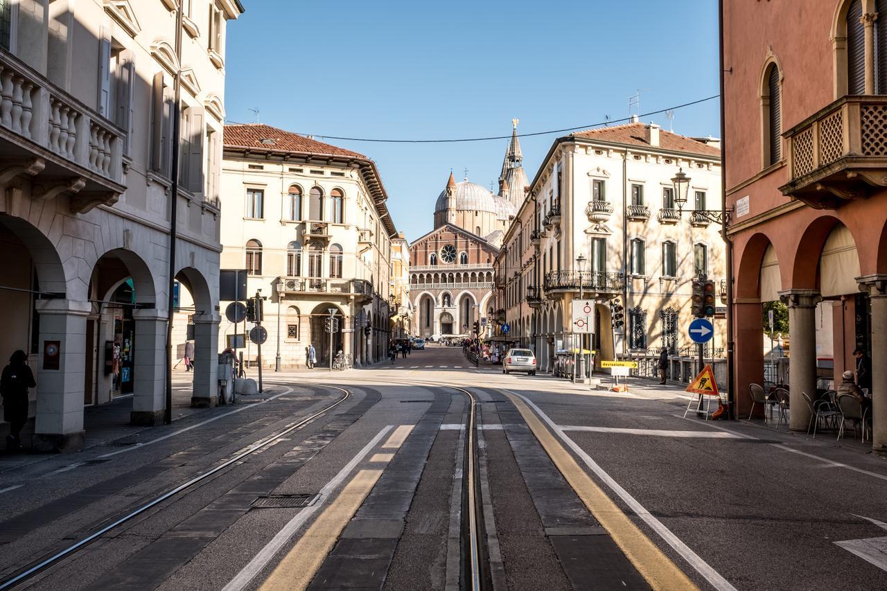 Mignon Padova